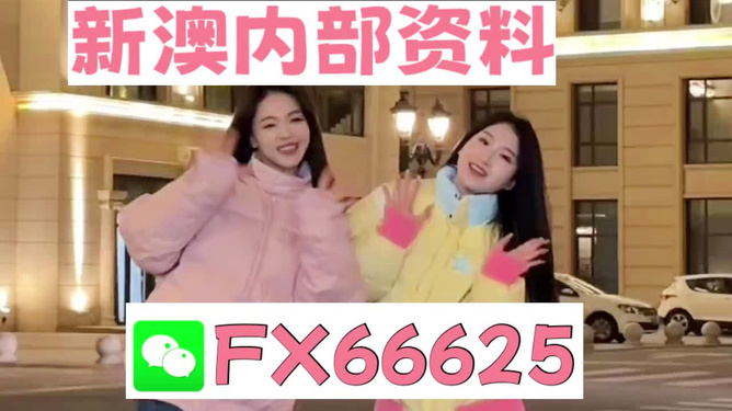 管家婆一码一肖资料大全五福生肖,精选资料解析大全