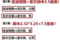 澳门100%最准的一肖,精选资料解析大全