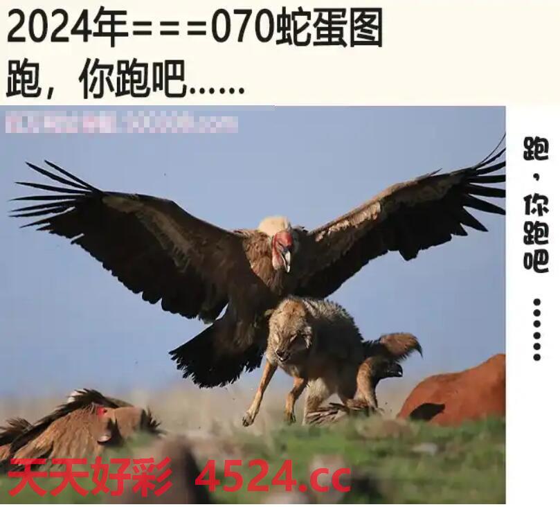 蛇蛋图澳门正版最新版,精选资料解析大全