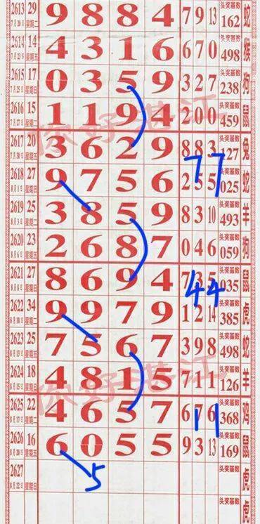 555525王中王四肖四码,探索神秘数字组合，555525王中王四肖四码