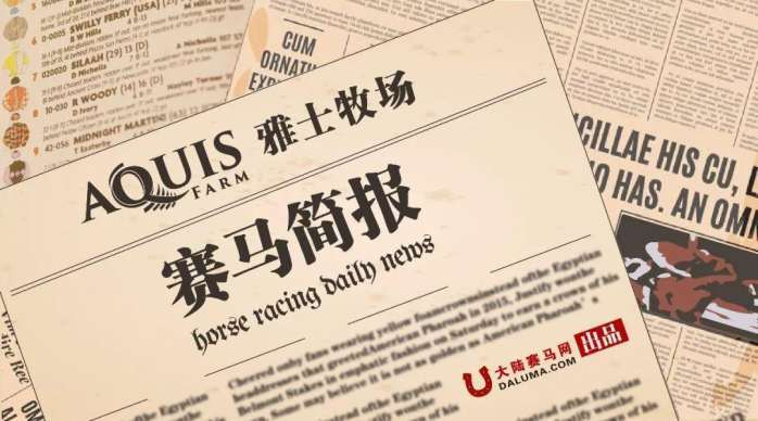 2025澳门特马今晚开奖165,澳门特马今晚开奖，探索彩票背后的文化与社会现象