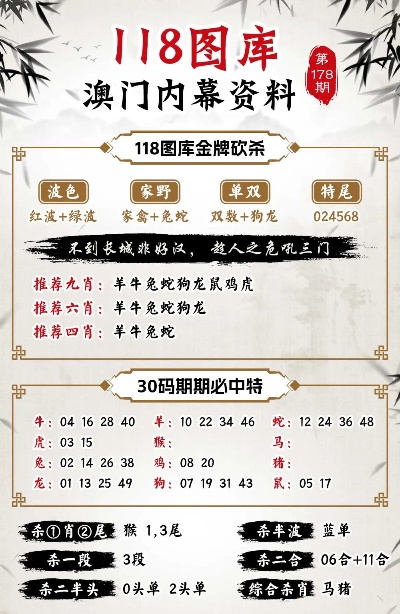 新澳门王中王王中王免费,新澳门王中王王中王免费——探索与体验