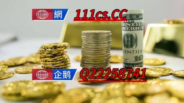 香港精准王中王全年资料,香港精准王中王全年资料解析