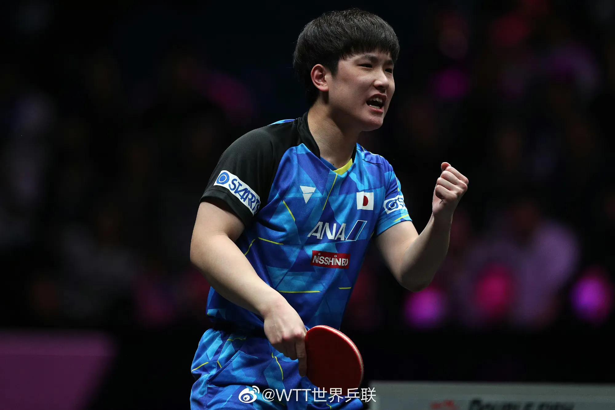 澳门六开彩天天开奖结果2023年,澳门六开彩天天开奖结果2023年——彩票背后的故事与启示